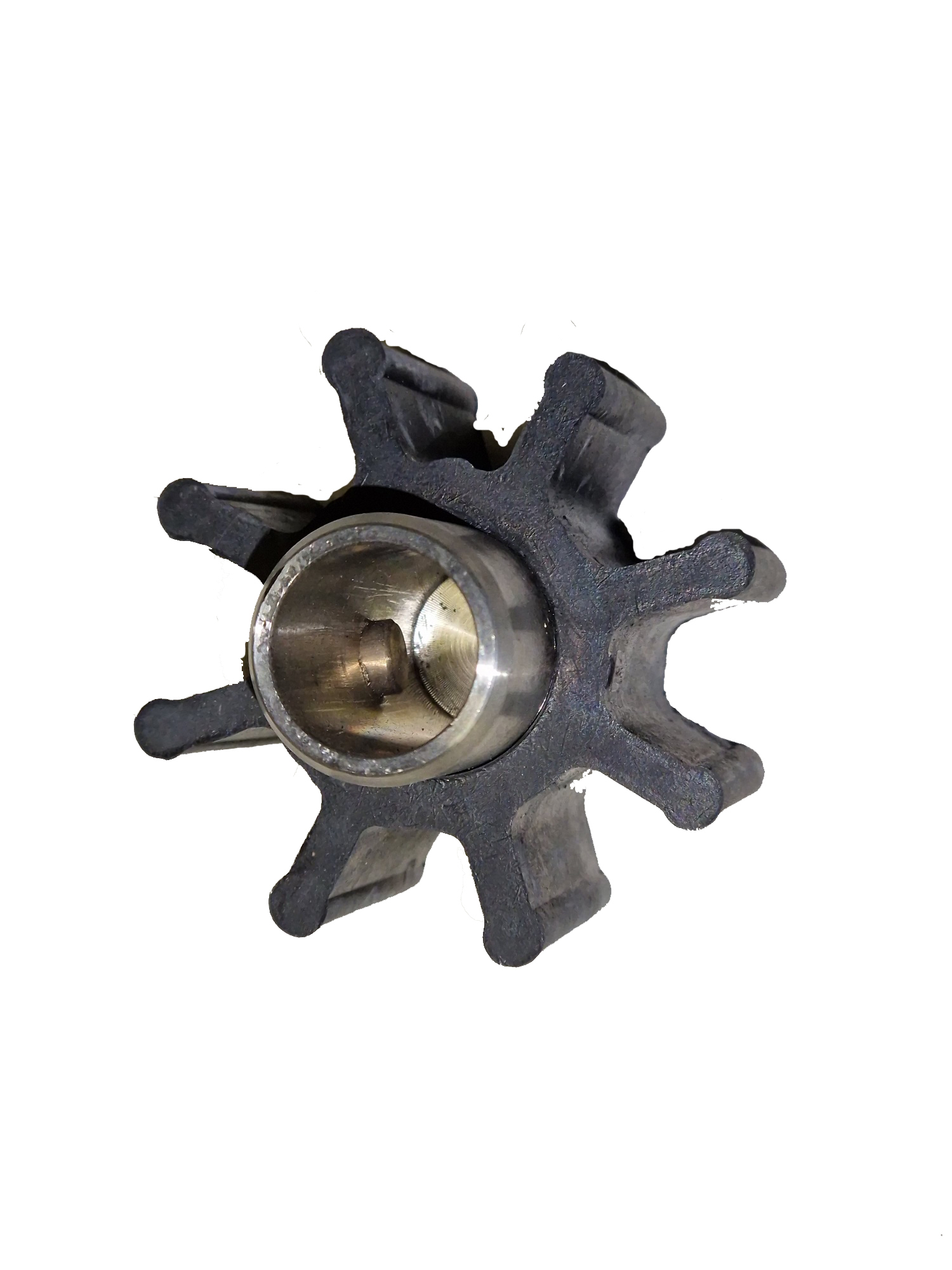 Impeller für Pumpe T12, NBR für Öle