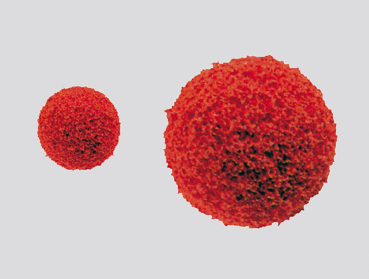 Schwammgummiball für 80er Schlauch, Drm. 100 mm Schwammgummiball für 80er Schlauch, Drm. 100 mm